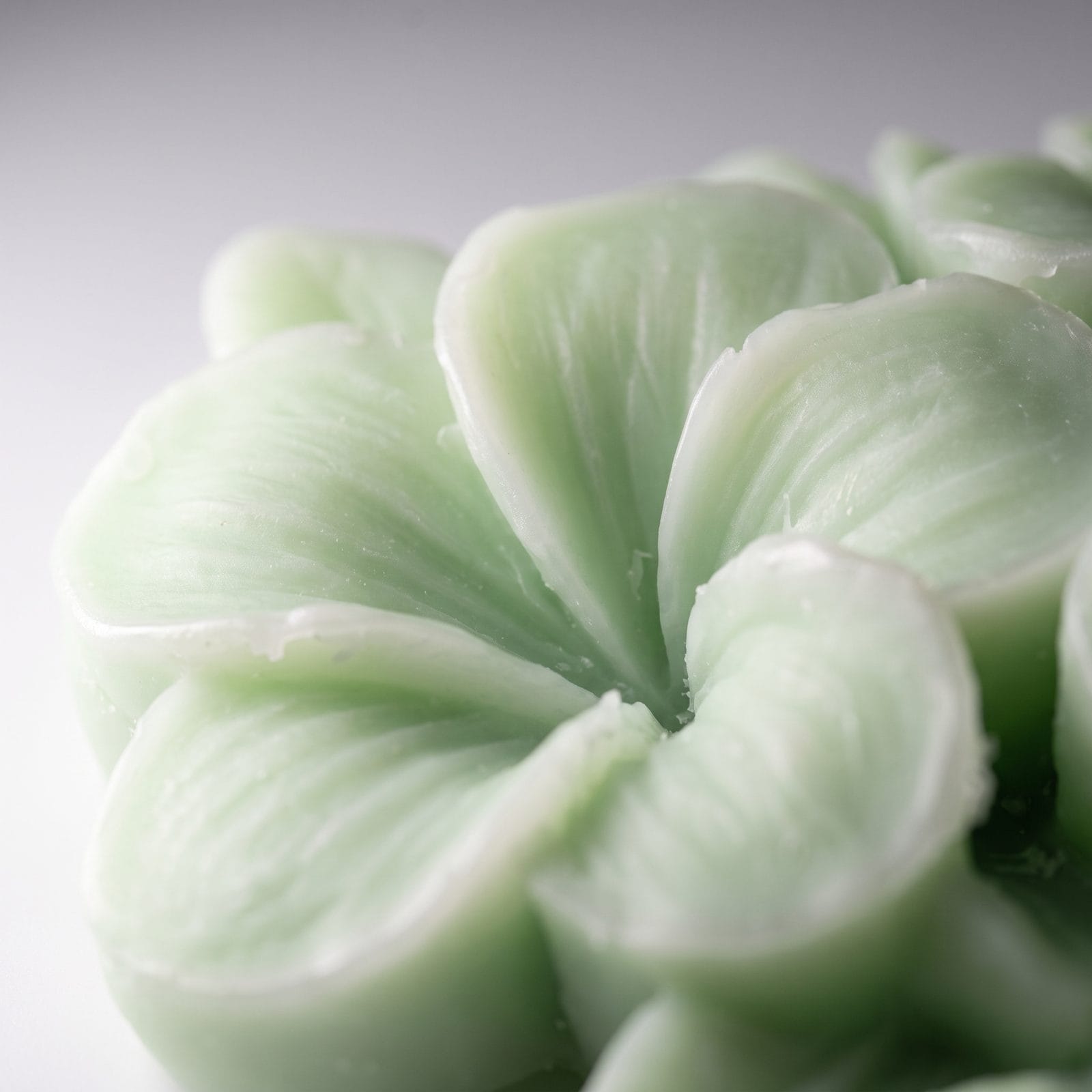 Plumeria Candle: detalle