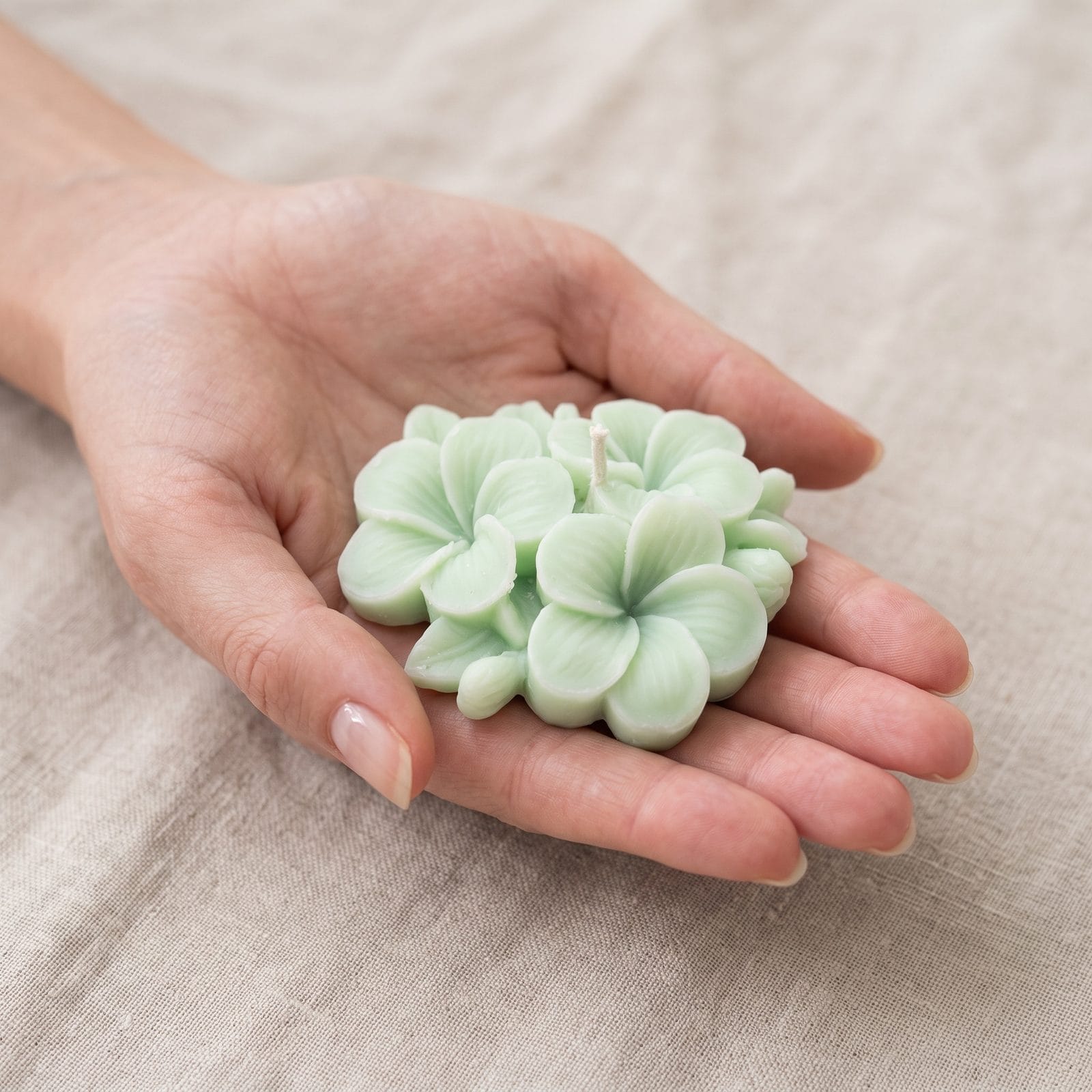 Plumeria Candle: mano
